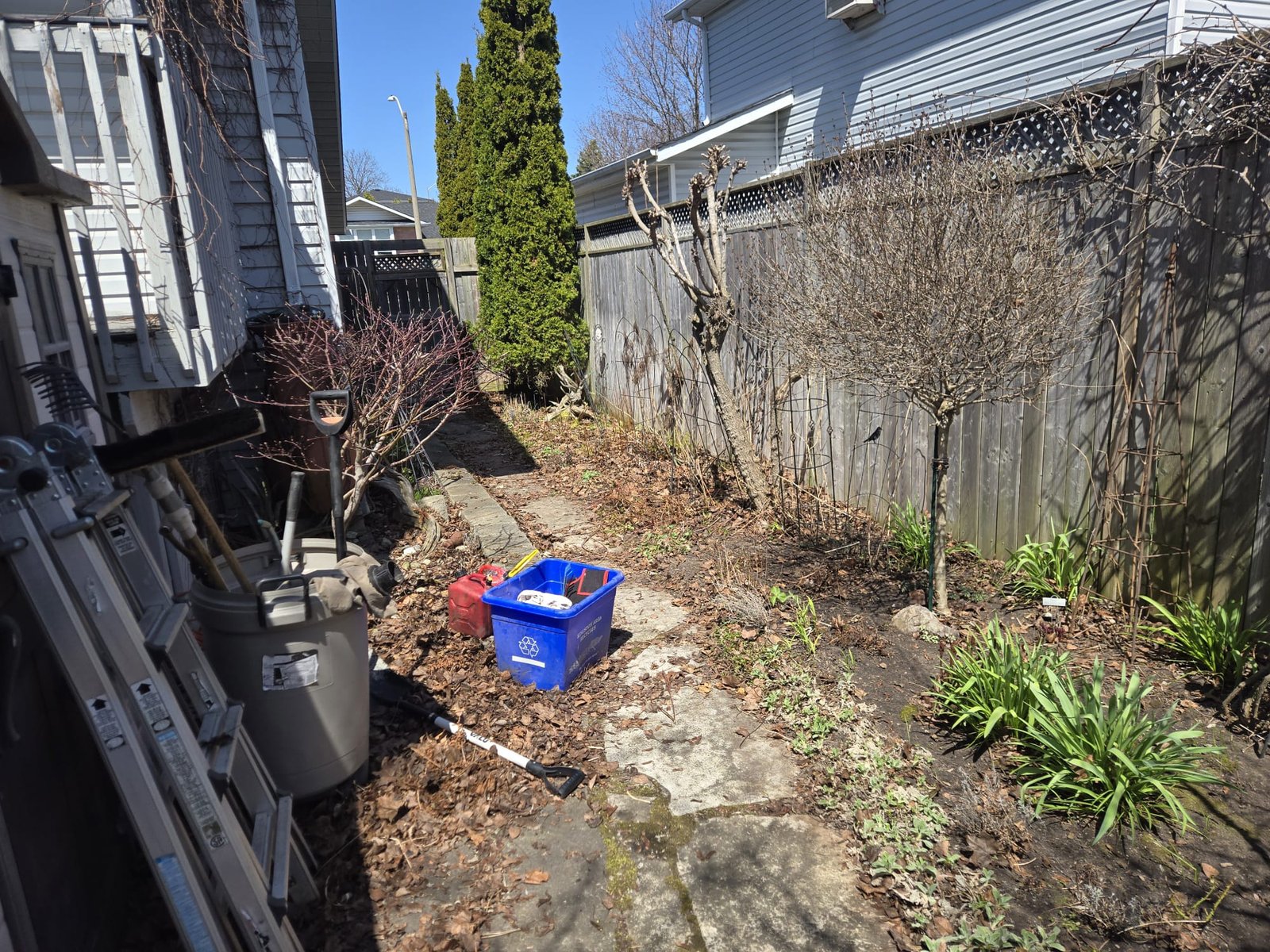 WhatsApp Image 2026-05-09 at 2.02.50 AM (1)